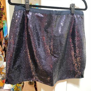 J. Crew Sequins Mini Skirt